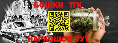 индика Партизанск