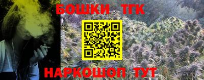 индика Партизанск